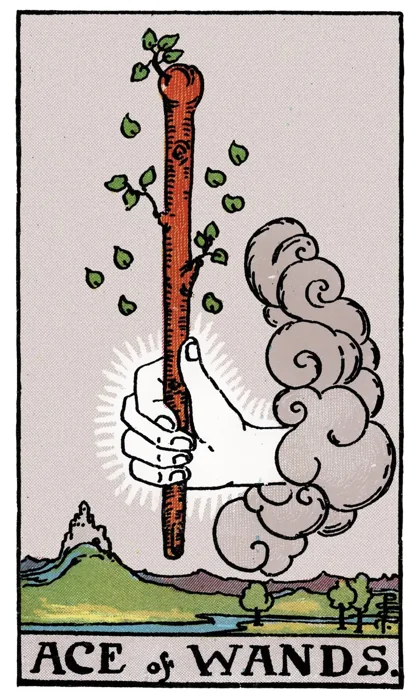 Ace of Wands tarot artwork