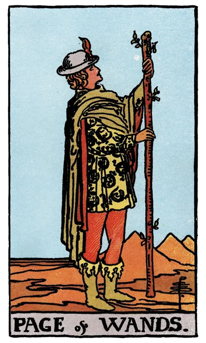 Page of Wands tarot artwork